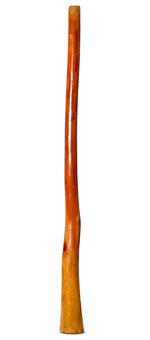 Gloss Finish Flared Didgeridoo (TW1199)
